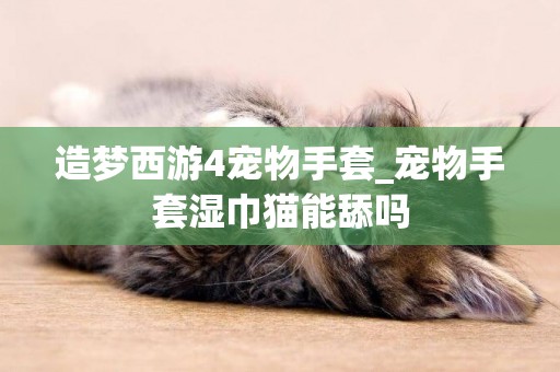 造梦西游4宠物手套_宠物手套湿巾猫能舔吗