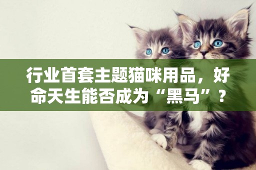 行业首套主题猫咪用品，好命天生能否成为“黑马”？