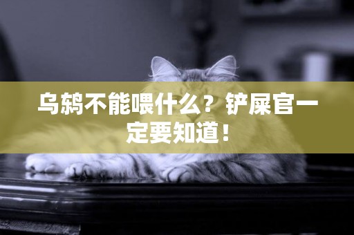 乌鸫不能喂什么？铲屎官一定要知道！