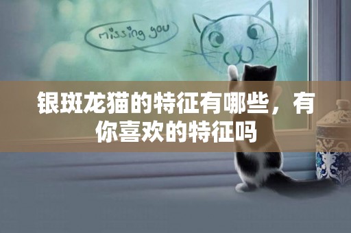 银斑龙猫的特征有哪些，有你喜欢的特征吗