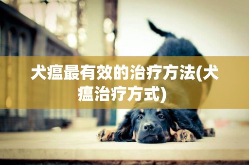 犬瘟最有效的治疗方法(犬瘟治疗方式) 