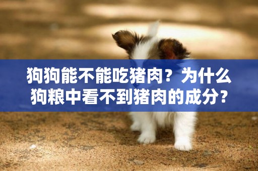 狗狗能不能吃猪肉？为什么狗粮中看不到猪肉的成分？ 