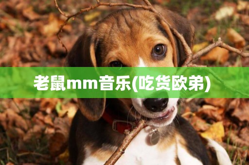 老鼠mm音乐(吃货欧弟) 