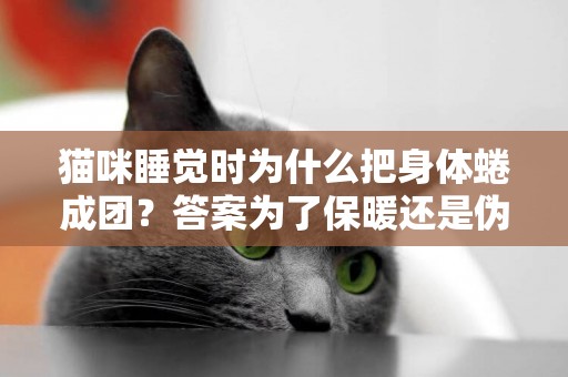 猫咪睡觉时为什么把身体蜷成团？答案为了保暖还是伪装成毛球 