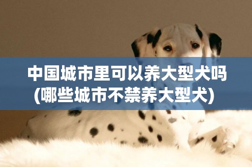 中国城市里可以养大型犬吗(哪些城市不禁养大型犬) 