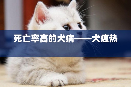 死亡率高的犬病——犬瘟热 