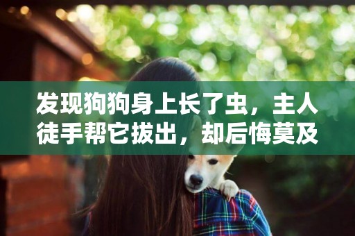 发现狗狗身上长了虫，主人徒手帮它拔出，却后悔莫及 