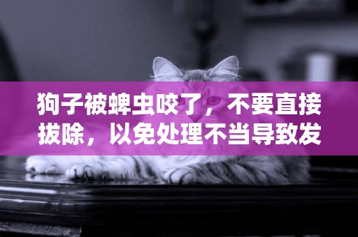 狗子被蜱虫咬了，不要直接拔除，以免处理不当导致发炎！ 