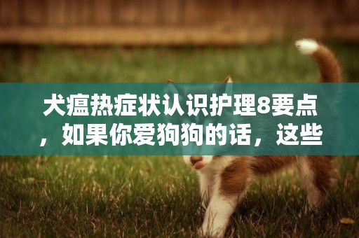 犬瘟热症状认识护理8要点，如果你爱狗狗的话，这些可以帮助到你 