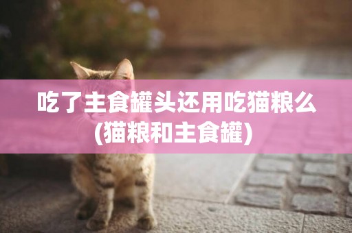 吃了主食罐头还用吃猫粮么(猫粮和主食罐) 