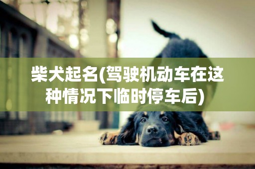 柴犬起名(驾驶机动车在这种情况下临时停车后) 