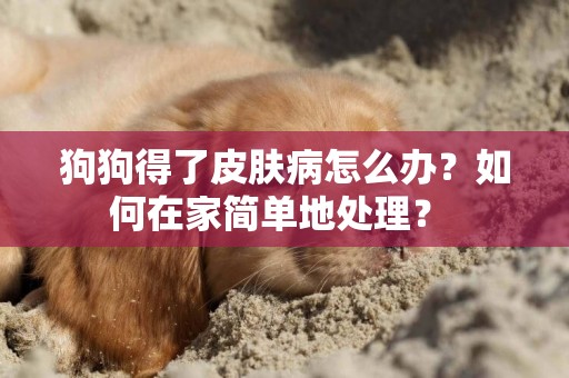 狗狗得了皮肤病怎么办？如何在家简单地处理？ 