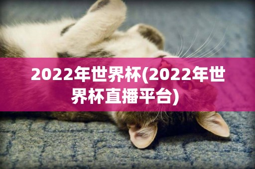 2022年世界杯(2022年世界杯直播平台) 