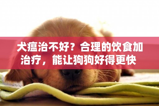 犬瘟治不好？合理的饮食加治疗，能让狗狗好得更快 