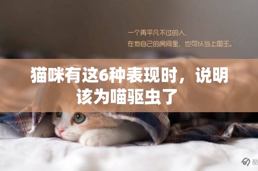 猫咪有这6种表现时，说明该为喵驱虫了 