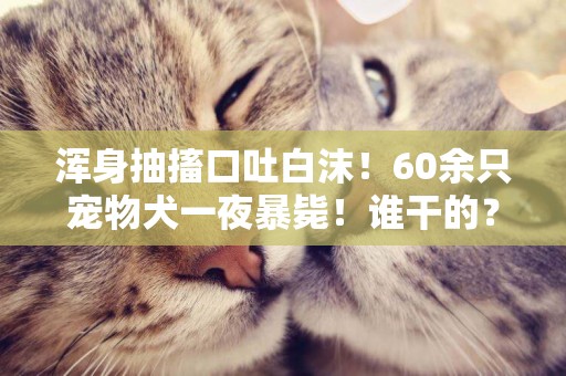 浑身抽搐口吐白沫！60余只宠物犬一夜暴毙！谁干的？ 