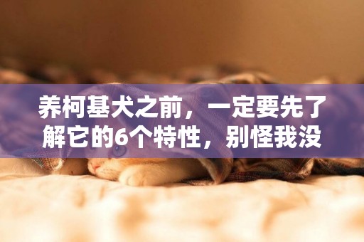 养柯基犬之前，一定要先了解它的6个特性，别怪我没提醒你 