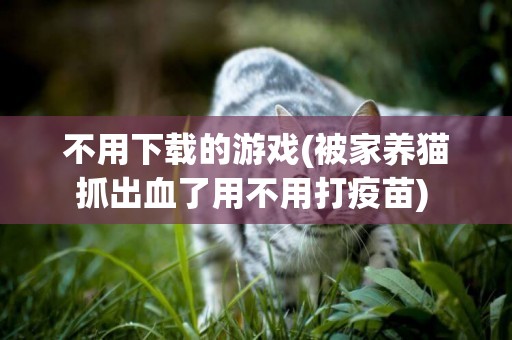 不用下载的游戏(被家养猫抓出血了用不用打疫苗) 