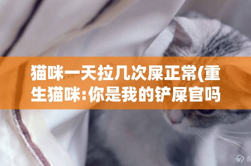 猫咪一天拉几次屎正常(重生猫咪:你是我的铲屎官吗) 