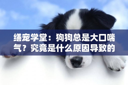 缮宠学堂：狗狗总是大口喘气？究竟是什么原因导致的？ 