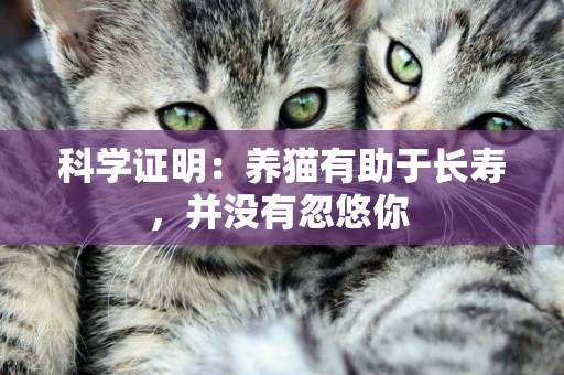 科学证明：养猫有助于长寿，并没有忽悠你 