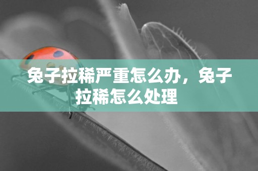 兔子拉稀严重怎么办，兔子拉稀怎么处理 