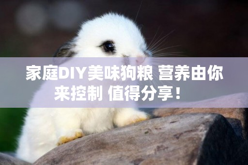 家庭DIY美味狗粮 营养由你来控制 值得分享！ 