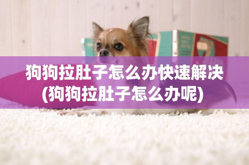 狗狗拉肚子怎么办快速解决(狗狗拉肚子怎么办呢) 