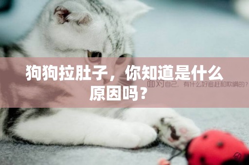 狗狗拉肚子，你知道是什么原因吗？ 