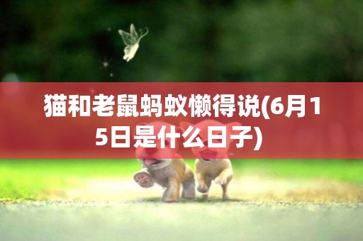 猫和老鼠蚂蚁懒得说(6月15日是什么日子) 