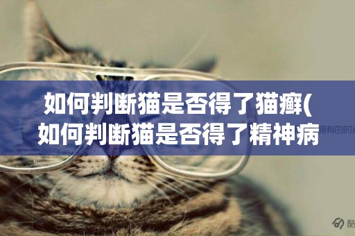 如何判断猫是否得了猫癣(如何判断猫是否得了精神病) 