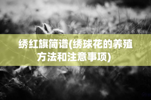 绣红旗简谱(绣球花的养殖方法和注意事项) 