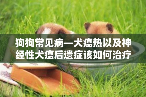 狗狗常见病—犬瘟热以及神经性犬瘟后遗症该如何治疗？ 