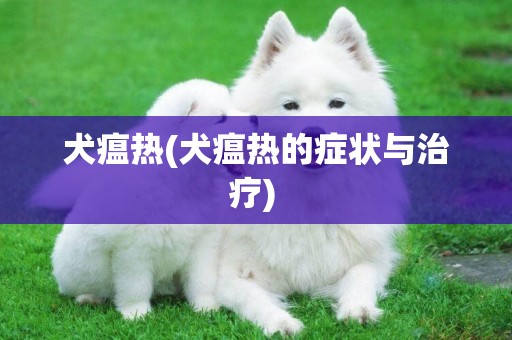 犬瘟热(犬瘟热的症状与治疗) 