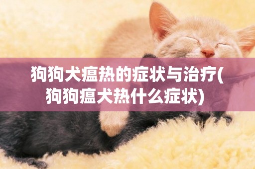 狗狗犬瘟热的症状与治疗(狗狗瘟犬热什么症状) 