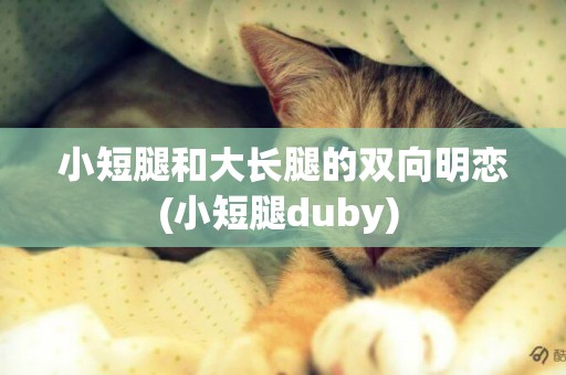 小短腿和大长腿的双向明恋(小短腿duby) 