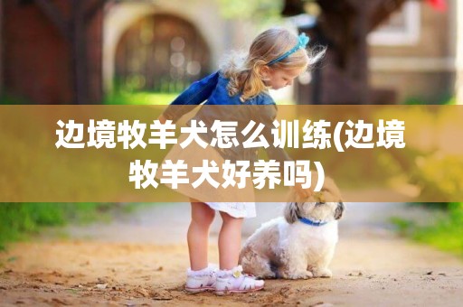 边境牧羊犬怎么训练(边境牧羊犬好养吗) 