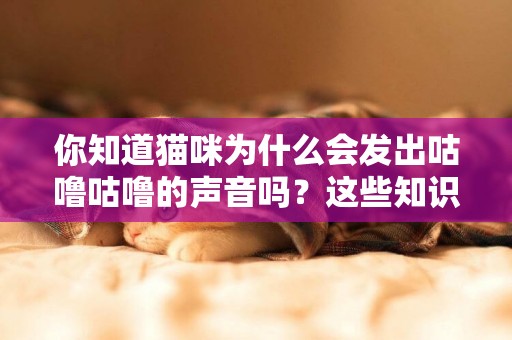 你知道猫咪为什么会发出咕噜咕噜的声音吗？这些知识你都了解吗？ 