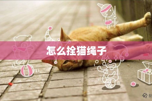 怎么拴猫绳子