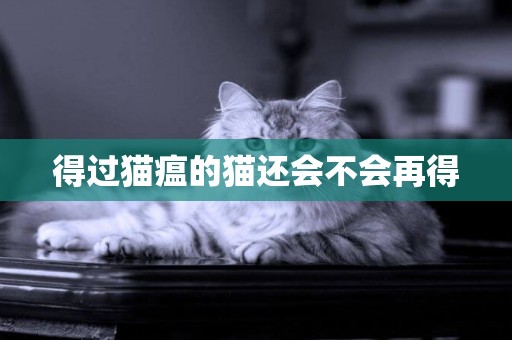 得过猫瘟的猫还会不会再得