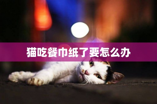 猫吃餐巾纸了要怎么办