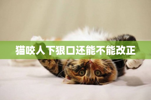 猫咬人下狠口还能不能改正