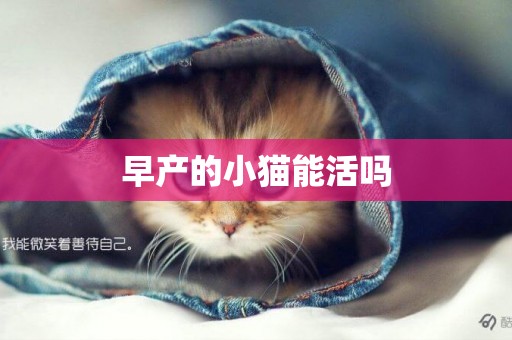 早产的小猫能活吗