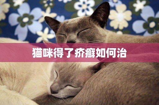 猫咪得了疥癣如何治