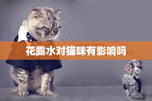 花露水对猫咪有影响吗