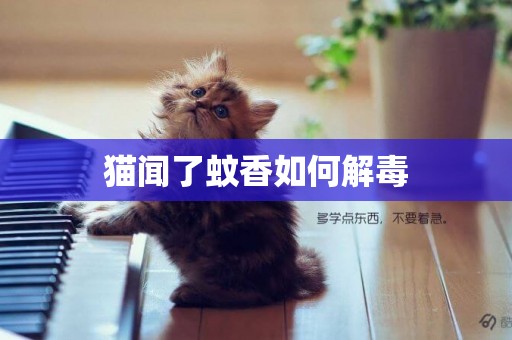 猫闻了蚊香如何解毒