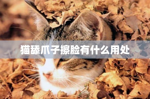 猫舔爪子擦脸有什么用处