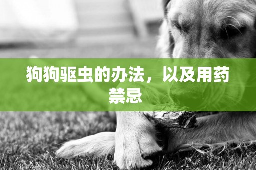 狗狗驱虫的办法，以及用药禁忌 