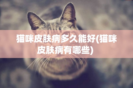 猫咪皮肤病多久能好(猫咪皮肤病有哪些) 