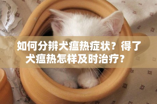 如何分辨犬瘟热症状？得了犬瘟热怎样及时治疗？ 